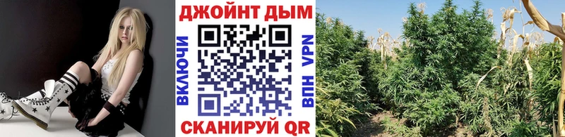 Каннабис конопля  Купить где  Мелеуз 